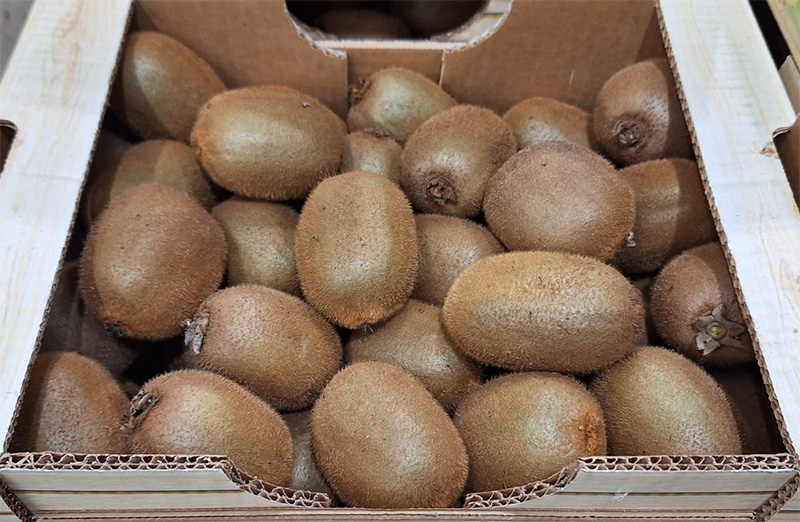 Kiwi Hayward, Italia, cal. 110 gr 2,40 euro al chilo